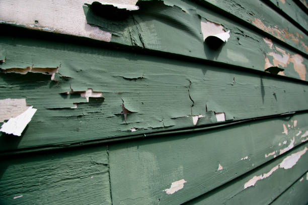 Best Siding Removal and Disposal  in Minneota, MN