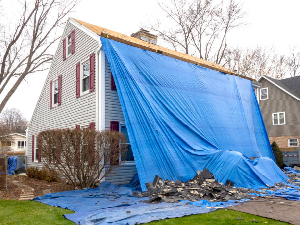 Best Storm Damage Siding Repair  in Minneota, MN